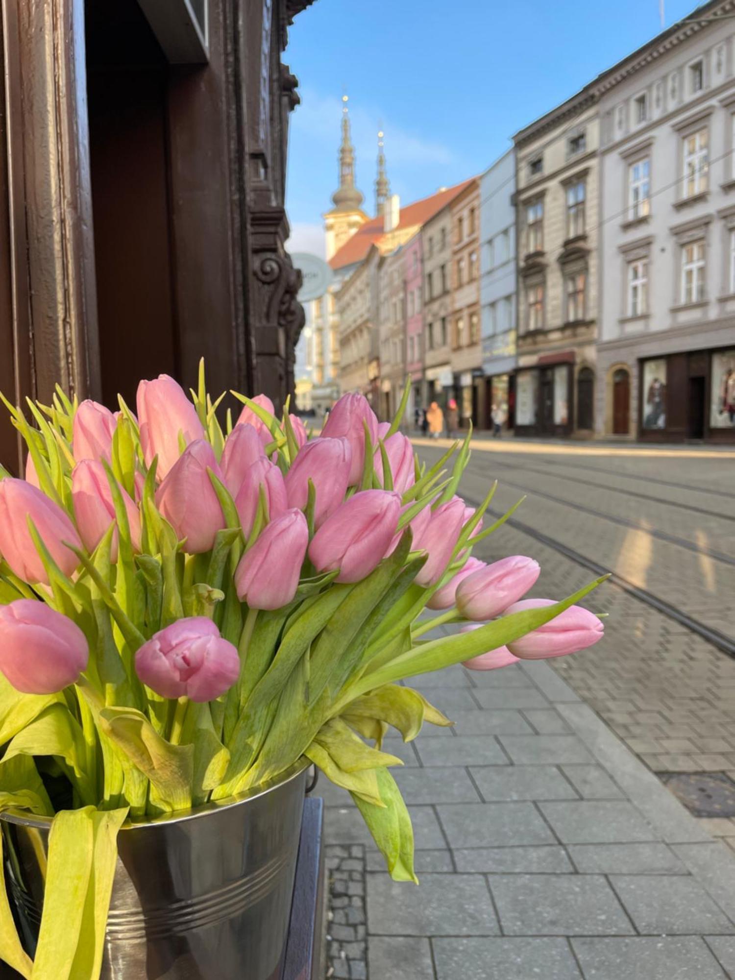 Kovarik Apartments I Оломоуц Екстер'єр фото